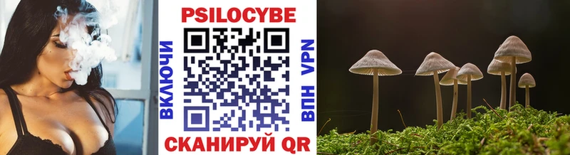 Галлюциногенные грибы мухоморы  это Telegram  Сорск 